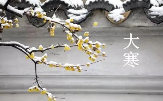 24节气最冷的是大寒还是小寒