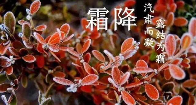 霜降是什么季节的节气