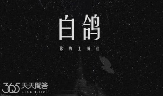 教堂的白鸽不会亲吻乌鸦是什么歌
