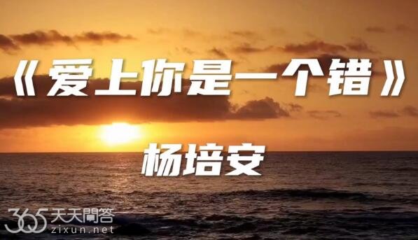 也许我命中注定情海中颠簸歌词是什么意思