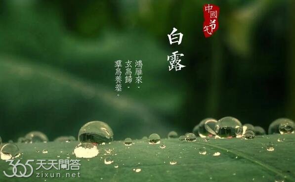 白露节气需要注意什么