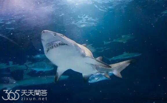 巡抚相当于现在什么官