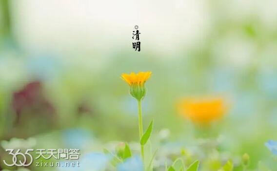 清明节是固定日期吗