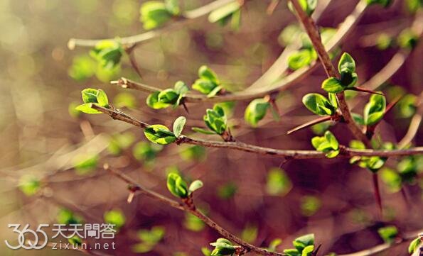 春天是几月到几月