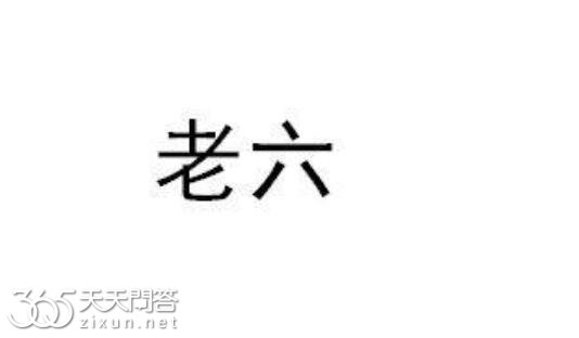老六这个梗是什么意思
