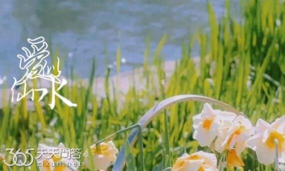 盛开在冬天的水仙是什么歌