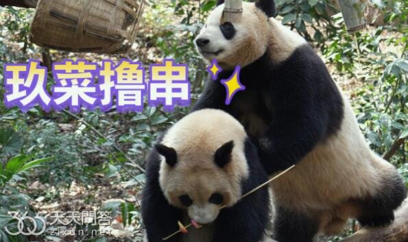 熊猫二狗和和艾玖是什么关系