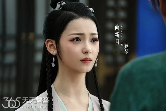 安乐传苑琴是好人吗