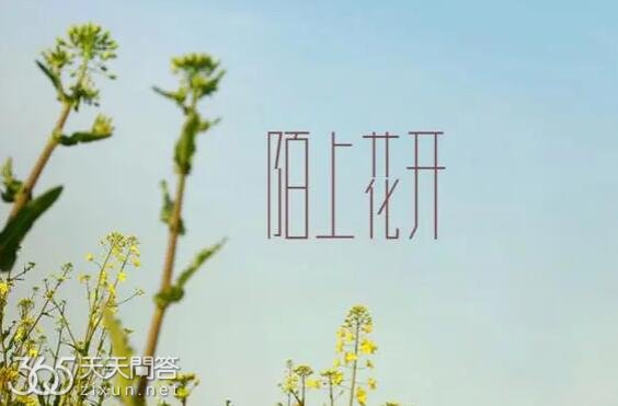 陌上花开什么意思