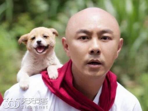 张卫健是真的光头吗