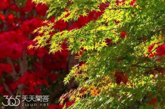 最短的季节是什么