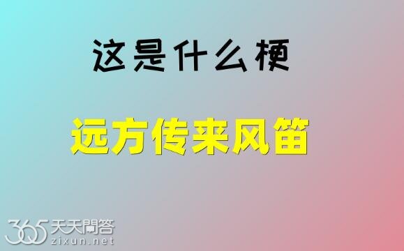 远方传来风笛是什么网络梗