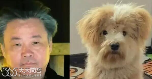 余华潦草小狗什么梗