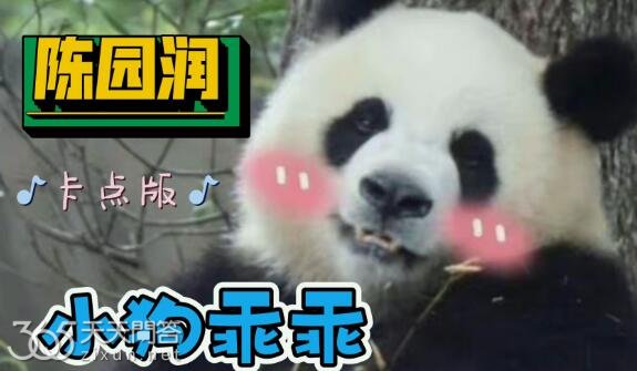 熊猫园润小狗乖乖什么意思