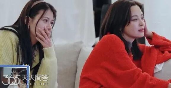 赵昭仪是95还是99的