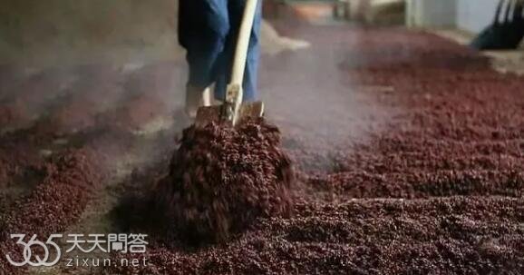 坤沙酒是什么意思