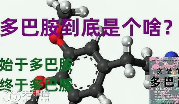 多巴胺是什么意思