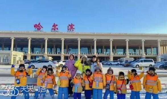 11个小砂糖橘什么意思