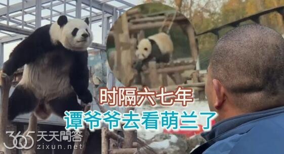 谭爷爷去北京看萌兰了吗
