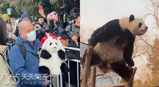 萌兰也是谭爷爷养的吗