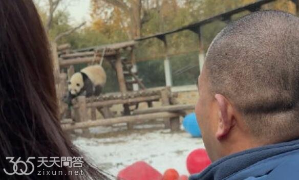 谭爷爷带花花去看萌兰怎么回事