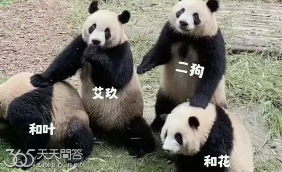 谭爷爷为什么看到艾玖就跑