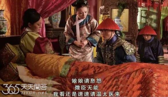 甄嬛的第三胎是皇上的吗