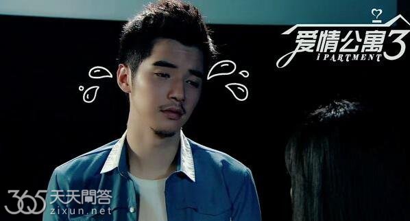 金世佳为什么不演爱情公寓4