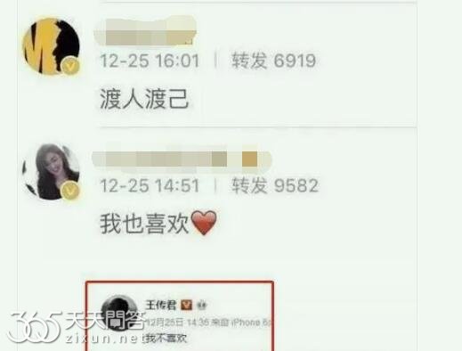 金世佳和王家卫合作过什么