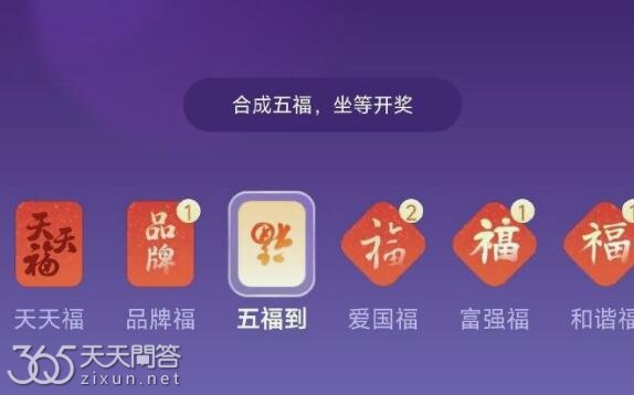 品牌福是干什么的
