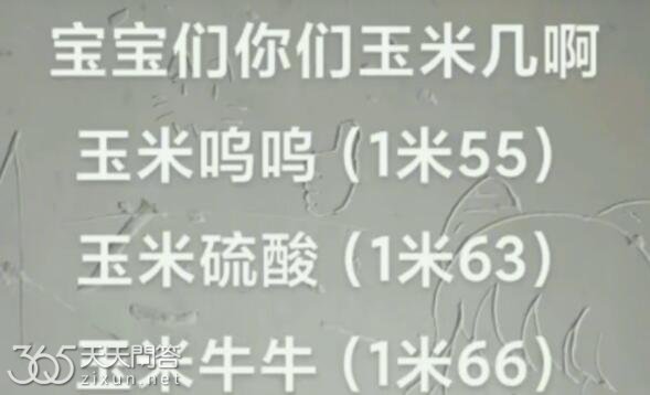 玉米几什么梗