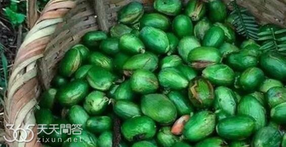 干果为什么那么贵