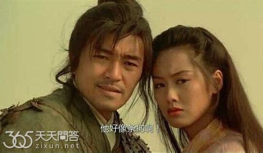 至尊宝为什么说孙悟空像条狗