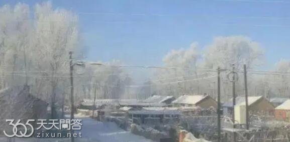 倒春寒一般发生在什么时候