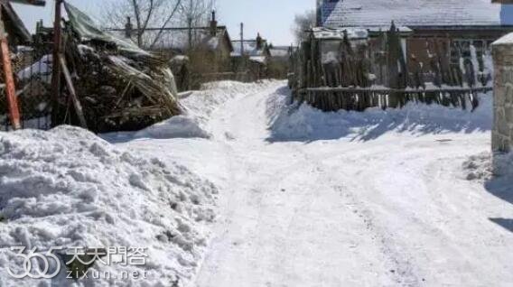 倒春寒2024在几月