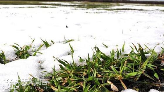 倒春寒为什么水是温热的