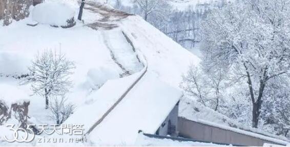 倒春寒为什么比冬天还冷