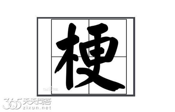 梗是网络用语吗