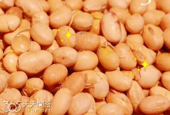 二月二为什么吃豆子