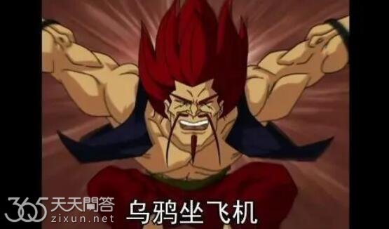 乌鸦坐飞机什么梗