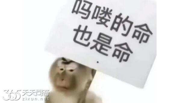 吗喽是什么梗