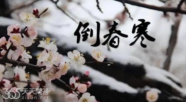 倒春寒是什么意思