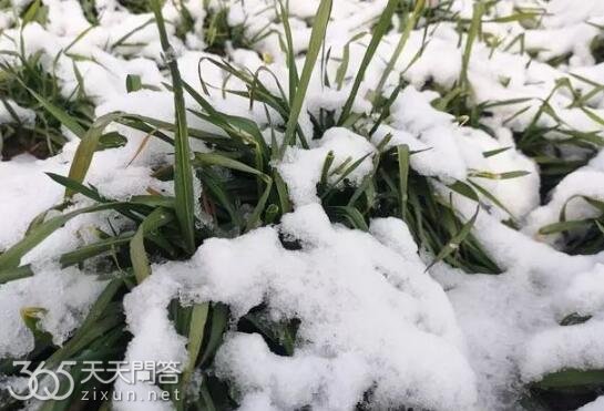 倒春寒是南方还是北方