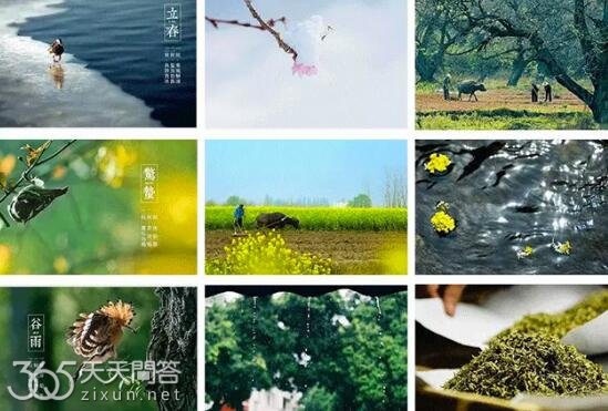 物候是什么意思二十四节气