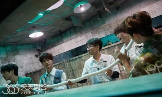 再就业男团密室大逃脱哪一期