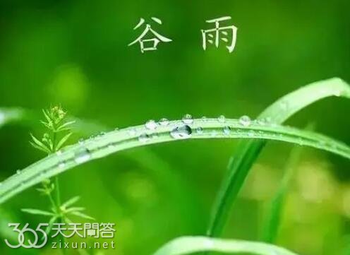 谷雨为什么会下雨