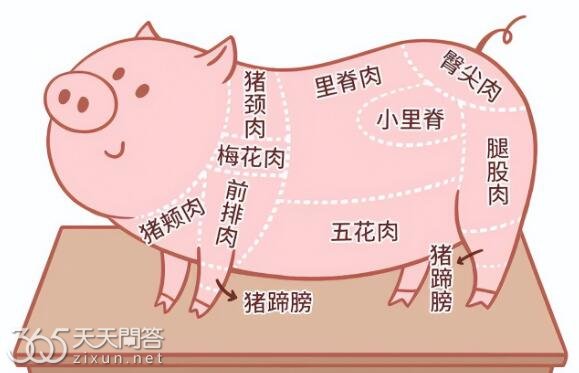 糟头肉是哪个位置