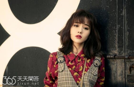 郑合惠子是哪个公司的