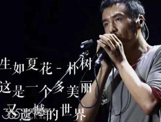 生如夏花是谁写的