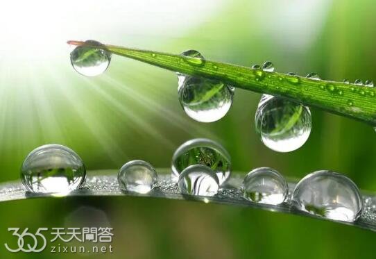 24节气有露水吗